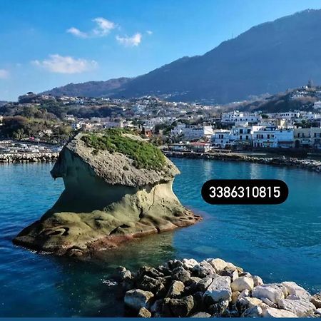 拉科阿梅诺Zaras 11公寓 外观 照片