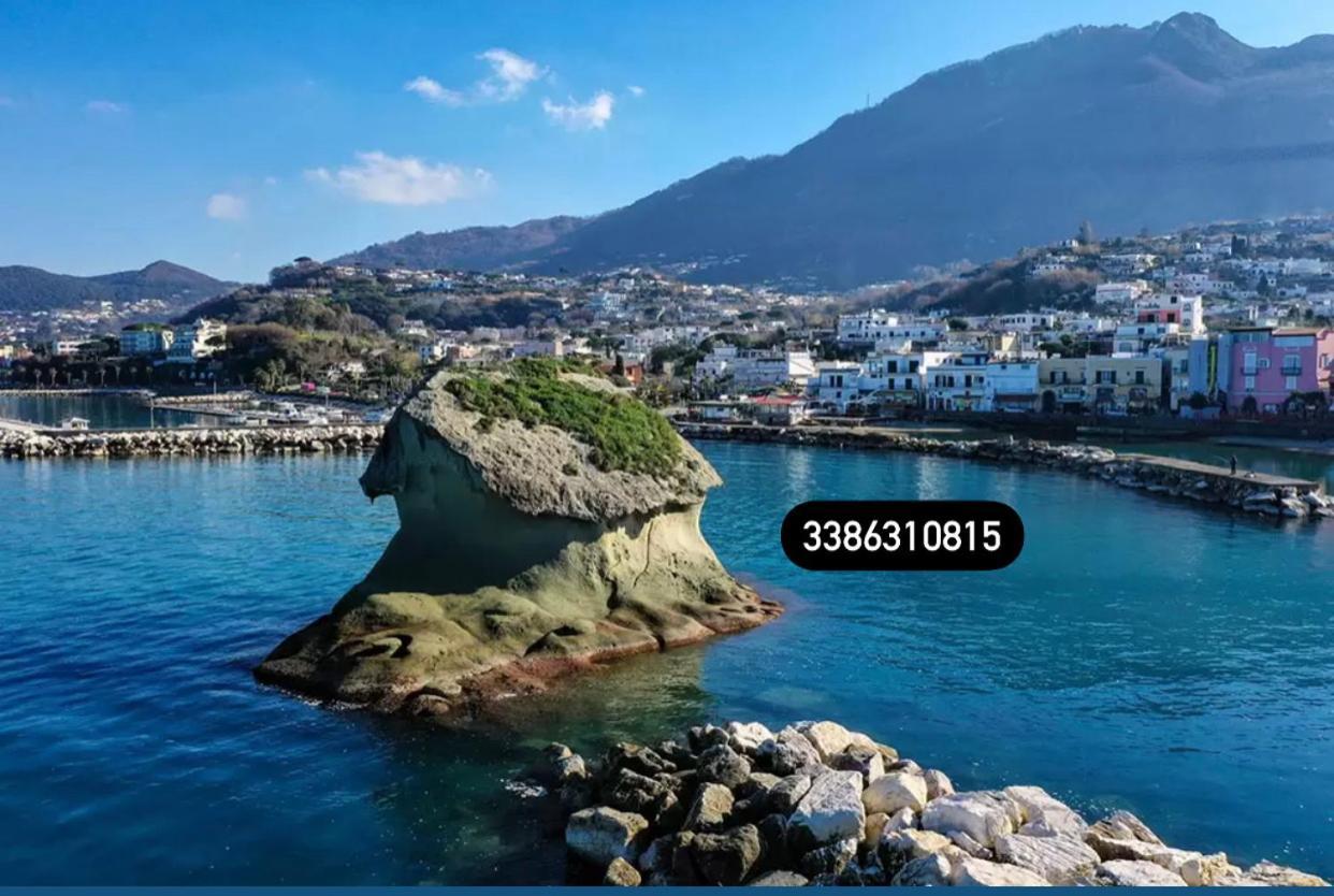 拉科阿梅诺Zaras 11公寓 外观 照片